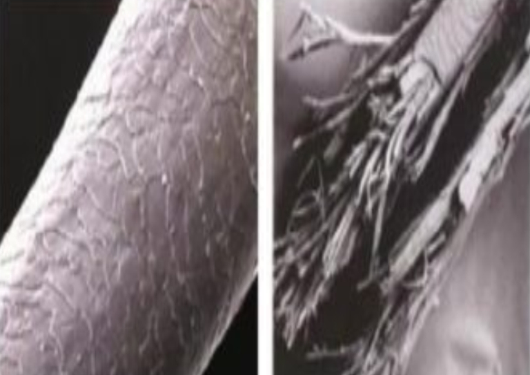 Ferryshairstudio.nl - Balayage, Barber, Highlights en meer